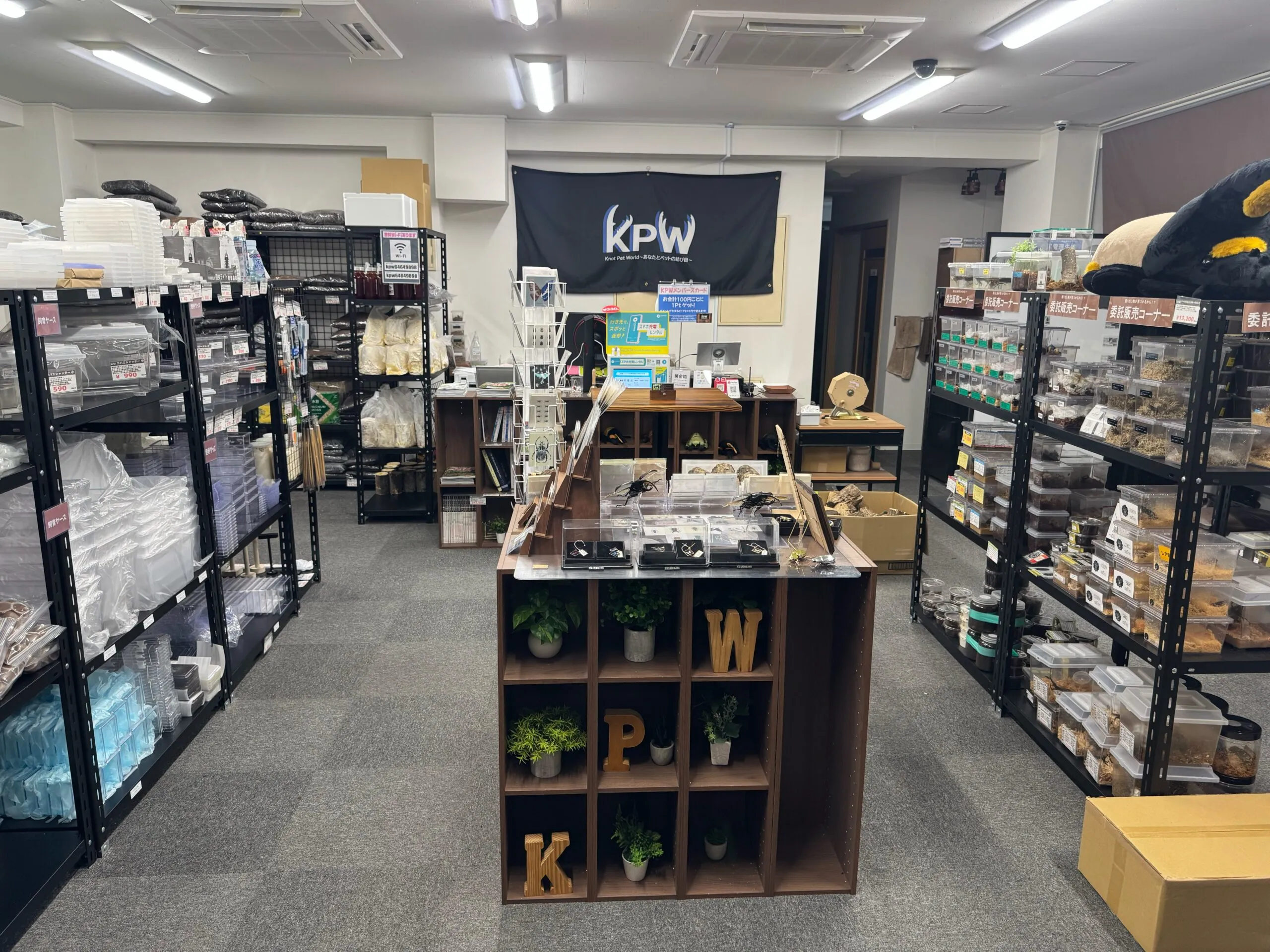 生体と飼育用品が並ぶKPW八王子本店の店内