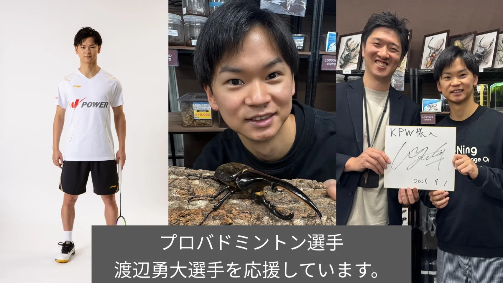 渡辺勇大選手の選手写真、昆虫と一緒の写真、KPW店舗での写真を組み合わせたスポンサー紹介